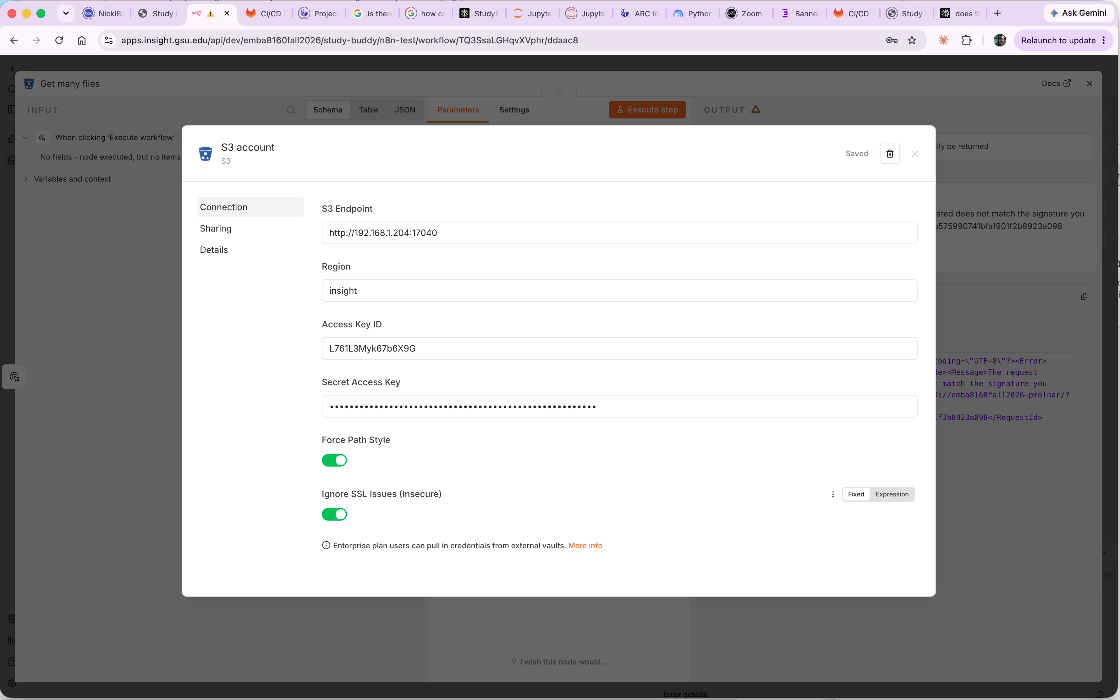 The S3 account credential dialog, showing the S3 endpoint, region, access key, and the Force Path Style and Ignore SSL Issues switches turned on